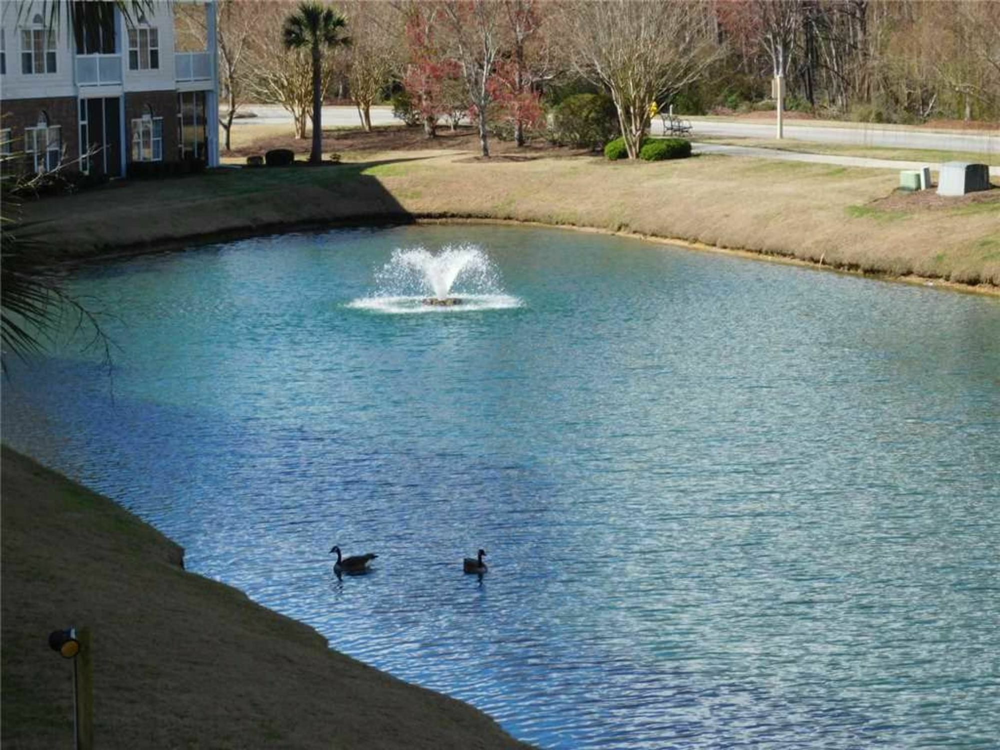 Appartement River Crossing à Briarcliffe Acres Extérieur photo